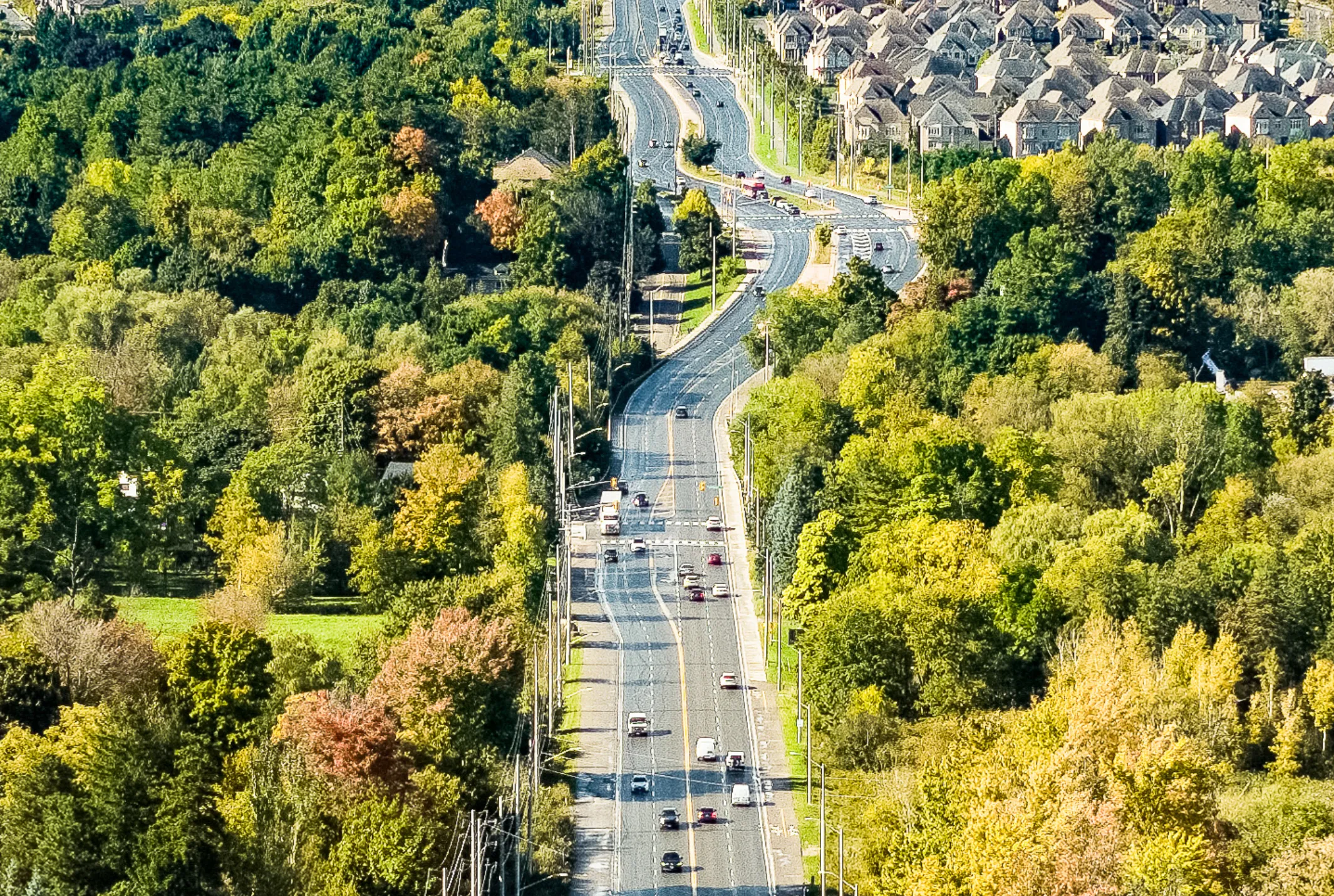 Rollingwood neighbourhood and community